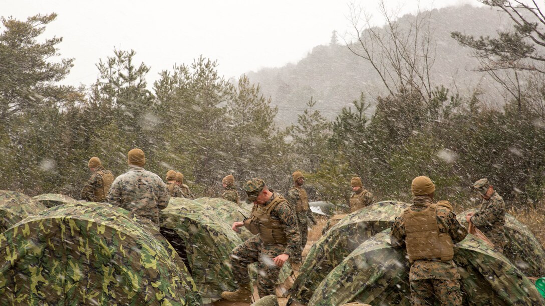 U.S. Marines with Marine Wing Support Squadron (MWSS) 171 set up two-man tents during exercise Kamoshika Wrath 17-1 at the Japan Ground Self-Defense Force’s Haramura Maneuver Area in Hiroshima, Japan, Jan. 22, 2017. The exercise is a biannual unit level training exercise that is primarily focused on establishing a forward operating base and providing airfield operation services. MWSS-171 trains throughout the year, completing exercises like Kamoshika Wrath 17-1 to enhance their technical skills, field experience and military occupational specialty capability. 