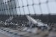 Newly added bird netting is already keeping birds out of Hangar 285 Jan. 20, 2017, at Altus Air Force Base Oklahoma. The purpose of the bird netting is to reduce the amount of birds in the hangars, lowering health and safety hazards for the maintainers in the work area. (U.S. Air Force photo by Airman 1st Class Cody Dowell/released)