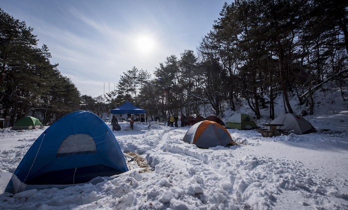 Boyscouts from Troops 9 and 14 set up tents in Camp Falcon at Misawa Air Base, Japan, Jan. 20, 2017.  The Scouts spent the night at Camp Falcon as part of their winter surival training. The Klondike Derby taught tent setup, fire buring, first aid and other surival skills to help overcome the dangers of a cold environment. (U.S. Air Force photo by Tech. Sgt. Araceli Alarcon)