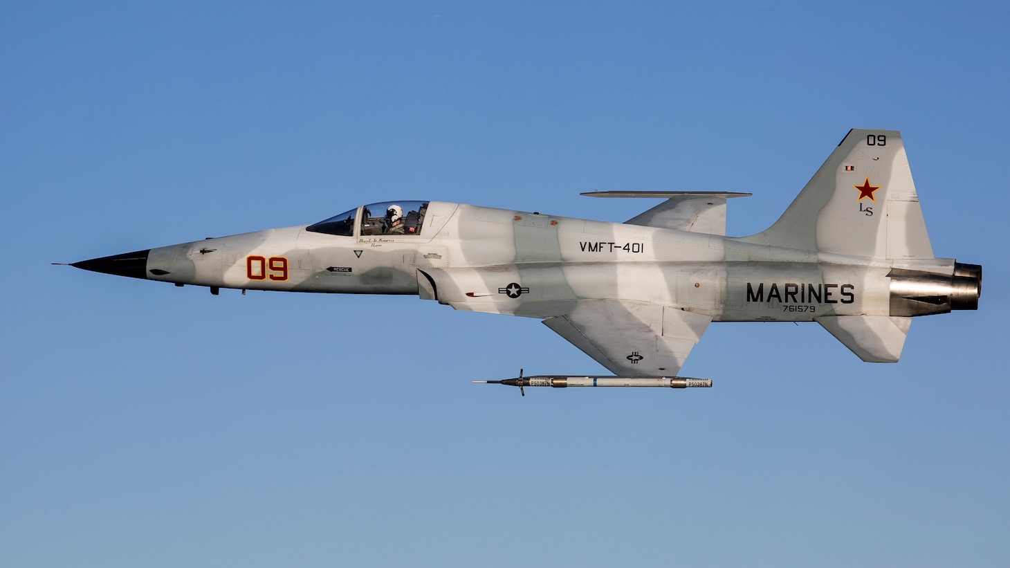 F 5N F Adversary Aircraft United States Navy Displayy FactFiles