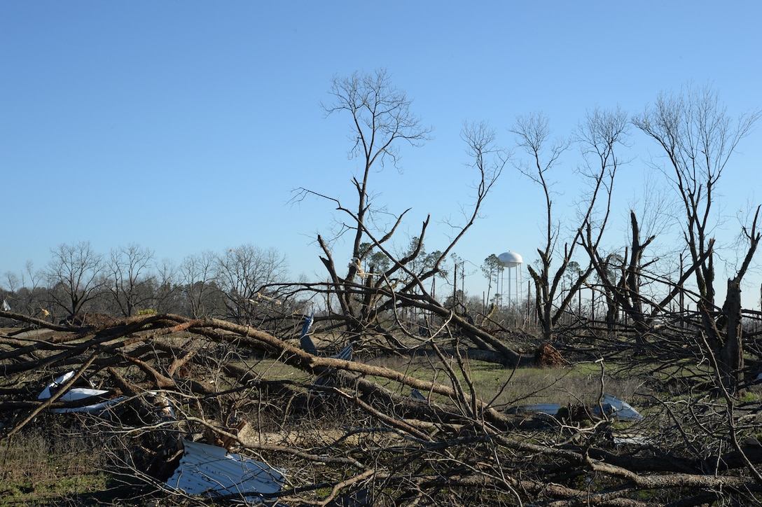 An EF-3 tornado destroys the pecan grove aboard Marine Corps Logistics Base Albany, Jan. 22.  The tornado passed through the Albany, Georgia, community and the installation carving a path of destruction leaving the landscape strewn with broken trees, downed power lines and damaged structures and military vehicles, Jan. 22.