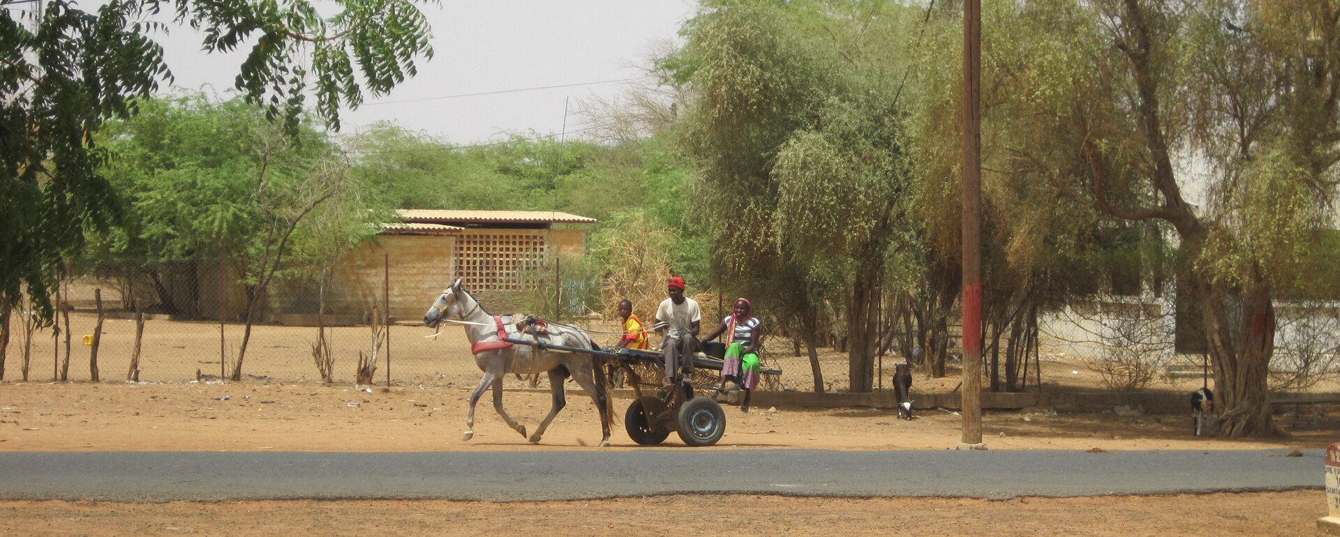 A man with a horse and trailer in the Sahel.