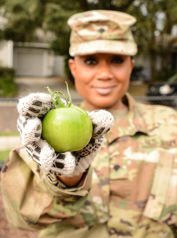 Army Spc. Ikeisha Q. Wills, an Atlanta, Ga., native serving as a human resources specialist, Headquarters & Headquarters Company, 143d Sustainment Command (Expeditionary), holds a green tomato picked from the Colonialtown North Community Garden Jan. 27, 2017, in Orlando, Fla. Wills and six other Army Reserve Soldiers joined scores of volunteers to bring one of the city’s oldest community garens back to its former, greener glory. Directed by Green Works Orlando in conjunction with the NFL’s Environmental Program, the garden’s revival was one of the many community projects both organizations managed to lighten the environmental footprint produced by the tens of thousands of football fans who have flocked to The City Beautiful to watch the NFL’s first Pro Bowl game to take place in the Continental U.S. since 1979. 