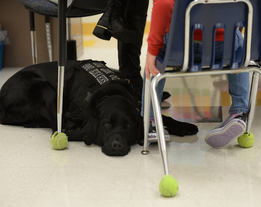 Hope, a service dog, lies at the feet of AudreeAna Johns, age six, daughter of U.S. Army Sgt. Matthew Johns, 221st Military Police Detachment military police officer, at Gen. Stanford Elementary School at Joint Base Langley-Eustis, Va., Jan. 24, 2017. Hope is a trained seizure alert, stability and anxiety service dog who goes to school with AudreeAna, accompanies her on doctors’ visits and sleeps near her, alerting those nearby of issues. (U.S. Air Force photo by Staff Sgt. Teresa J. Cleveland)