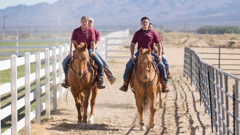 Sgt. Monica Hilpisch, Sgt. Terry Barker, Sgt. Miguel Felix and Sgt. Moses Machuca, all stablemen with the Marine Corps' Mounted Color Guard, take the horses for some exercise and training at the stables on the Yermo Annex aboard Marine Corps Logistics Base Barstow, Calif., Nov. 3.