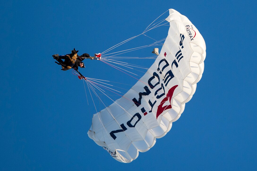 A skydiver jumps with his dog in tandem during opening ceremonies for the 2017 Department of Defense Warrior Games at Soldier Field in Chicago, July 1, 2017. DoD photo by EJ Hersom