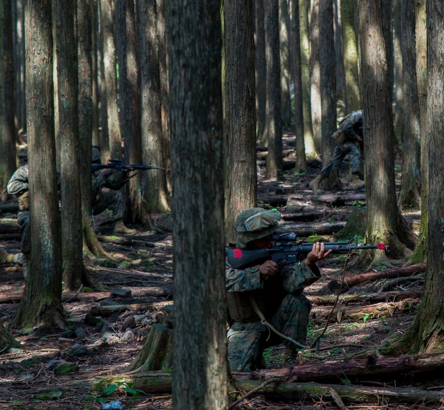 U.S. Marines attached to Marine Wing Support Squadron (MWSS) 171, based out of Marine Corps Air Station Iwakuni, rush in buddy pairs to provide security to a forward operating base during exercise Eagle Wrath 2017 at Combined Arms Training Center Camp Fuji, Japan, June 24, 2017. Forward operating bases and forward arming and refueling points were established during the two-week exercise to train the Marines to provide explosives, weaponry, fuel, security, logistics and personnel to a forward line of troops and aircraft. 