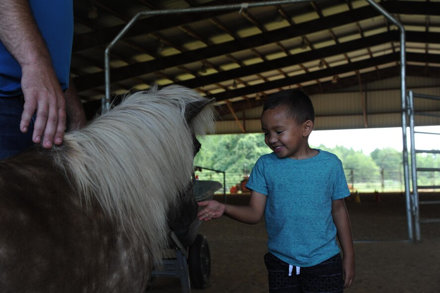 Avery, son of Lt. Col. Erin Knightner, 14th Medical Group Chief Nurse, pets a miniature pony June 30, 2017, at the Elizabeth A. Howard 4-H Arena in West Point, Mississippi. The horses at the arena are very calm and are gentle enough for small children to pet, brush and ride them. (U.S. Air Force photo by Airman 1st Class Beaux Hebert)