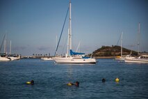 NOUMEA, NEW CALEDONIA— Marines with 3rd Battalion, 4th Marine Regiment, currently deployed to Koa Moana 17, scrub buoys after participating in the French Nautical Commando Course during exercise Koa Moana 17, July 3, 2017, in Noumea, New Caledonia. Koa Moana 17 is designed to improve theater security, and conduct law enforcement and infantry training in the Pacific region in order to enhance interoperability with partner nations. (U.S. Marine Corps Photo by Sgt. Douglas D. Simons)