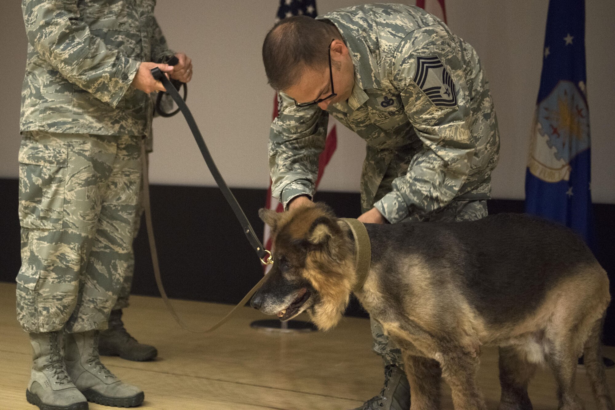 U.S. Air Force Chief Master Sgt. Brian Cain, 39th Security Forces Squadron manager, accepts the leash during the passing of the leash ceremony at MWD Jerry, 39th Security Forces Squadron patrol and explosives detector’s retirement July 10, 2017, at Incirlik Air Base, Turkey. Cain adopted Jerry into his home where he will live the remainder of his days. (U.S. Air Force photo by Airman 1st Class Kristan Campbell)