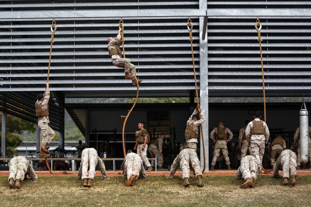 Marines participate in a Marine Corps Martial Arts Program physical training session at Lavarack Barracks, Australia, July 3, 2017. The Marines are assigned to Lima Company, 3rd Battalion, 4th Marine Regiment, 1st Marine Division, Marine Rotational Force Darwin. Marine Corps photo by Cpl. Nathaniel C. Cray