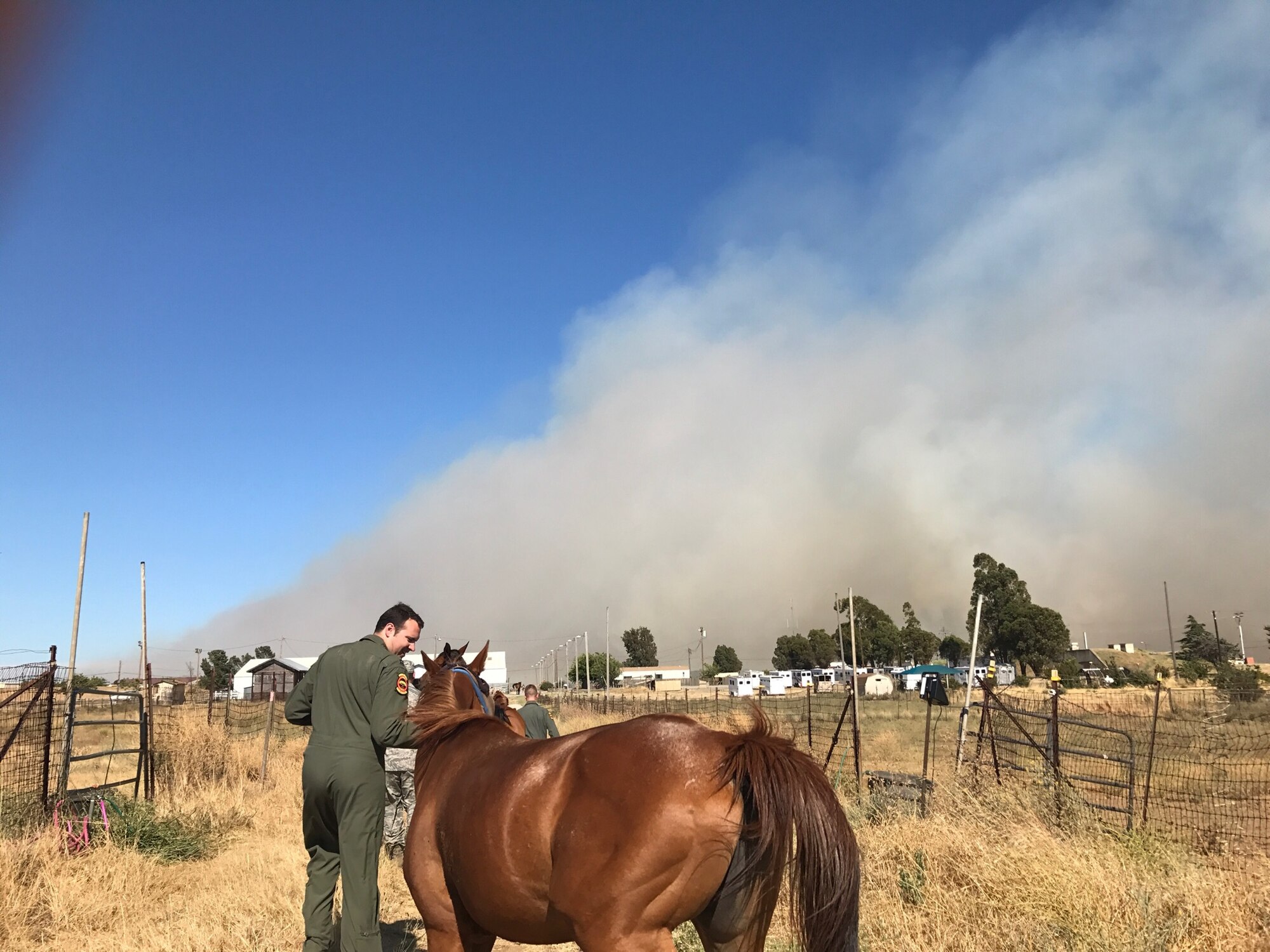 Capt. Evan Rodts, 21st Airlift Squadron, evacuates a horse July 6 from a turnout at the Travis Equestrian Center during a grass fire at Travis Air Force Base, Calif. (Courtesy photo)