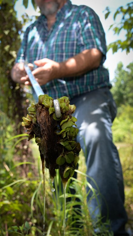 Mark Gates Barksdale Air Force Base wildlife biologist holds a piece of Giant Salvinia at Flag Lake, June 27,2017. Giant Salvinia is an invasive plant species currently affecting the ecosystem in lakes on base. (U.S. Photo/Airman 1st Class Cassandra Johnson)