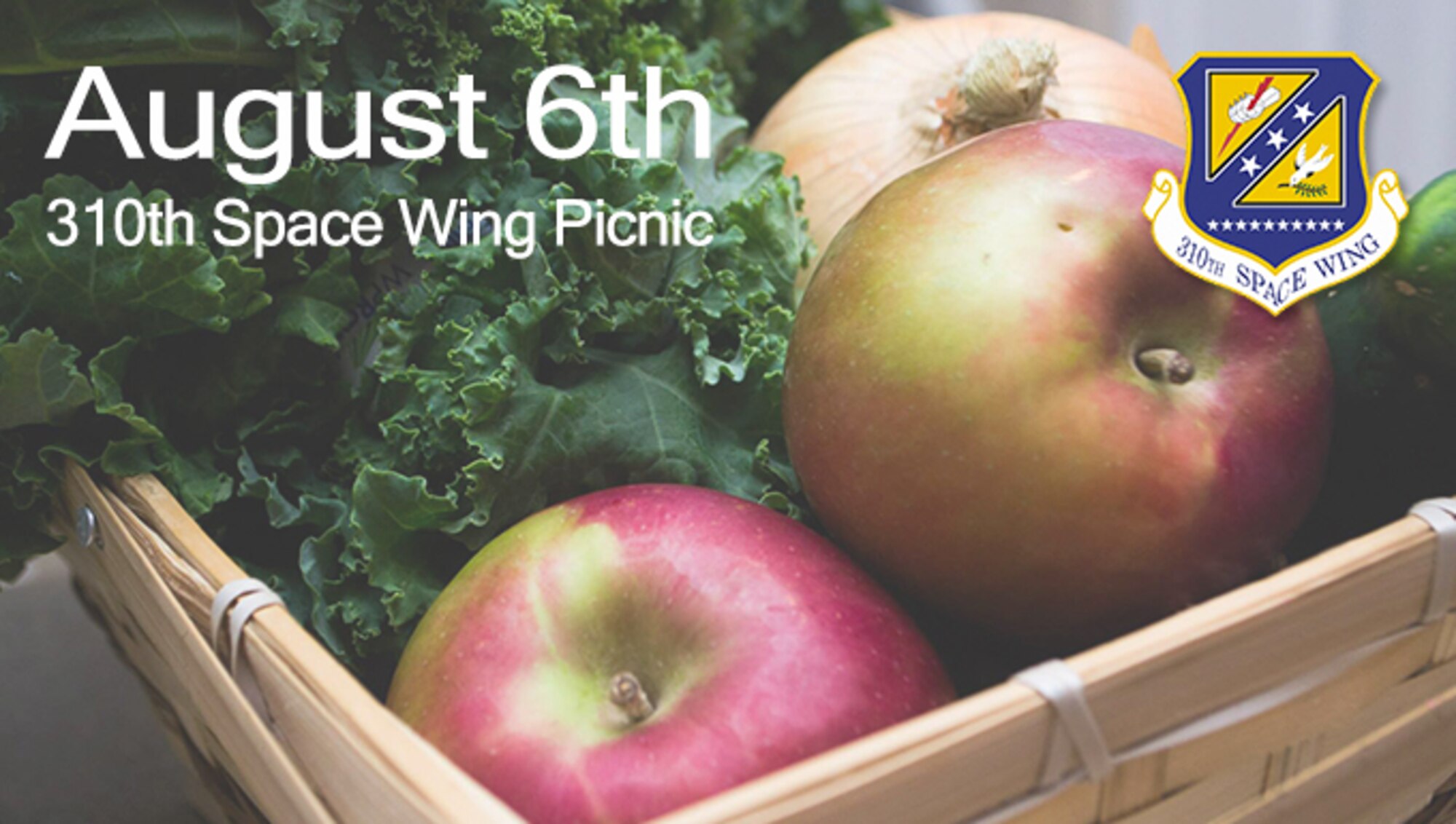 The 310th Space Wing's annual picnic will take place at the Schriever Event Center on Sunday, Aug. 6, 2017. A number of activities will be available for families to participate. (U.S. Air Force Graphic/Senior Airman Laura Turner)