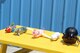 The Cool-Two entries at the RocketDay! competition, shown here, ranged from a flying pig to a black widow spider. About 30 area youth participated in RocketDay! held June 17 at the Hands-On Science Center in Tullahoma. 