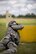 A 914th Security Forces Airman fires an M4 rifle while shielding himself behind a barrier during Security Forces annual training, July 11, 2017, Niagara Falls Air Reserve Station, N.Y. The training focuses on communication and execution of maneuvers, ensuring SFS Airmen are well versed in smoothly and efficiently carrying out procedures in real-world situations. (U.S. Air Force photo by Tech. Sgt. Stephanie Sawyer) 