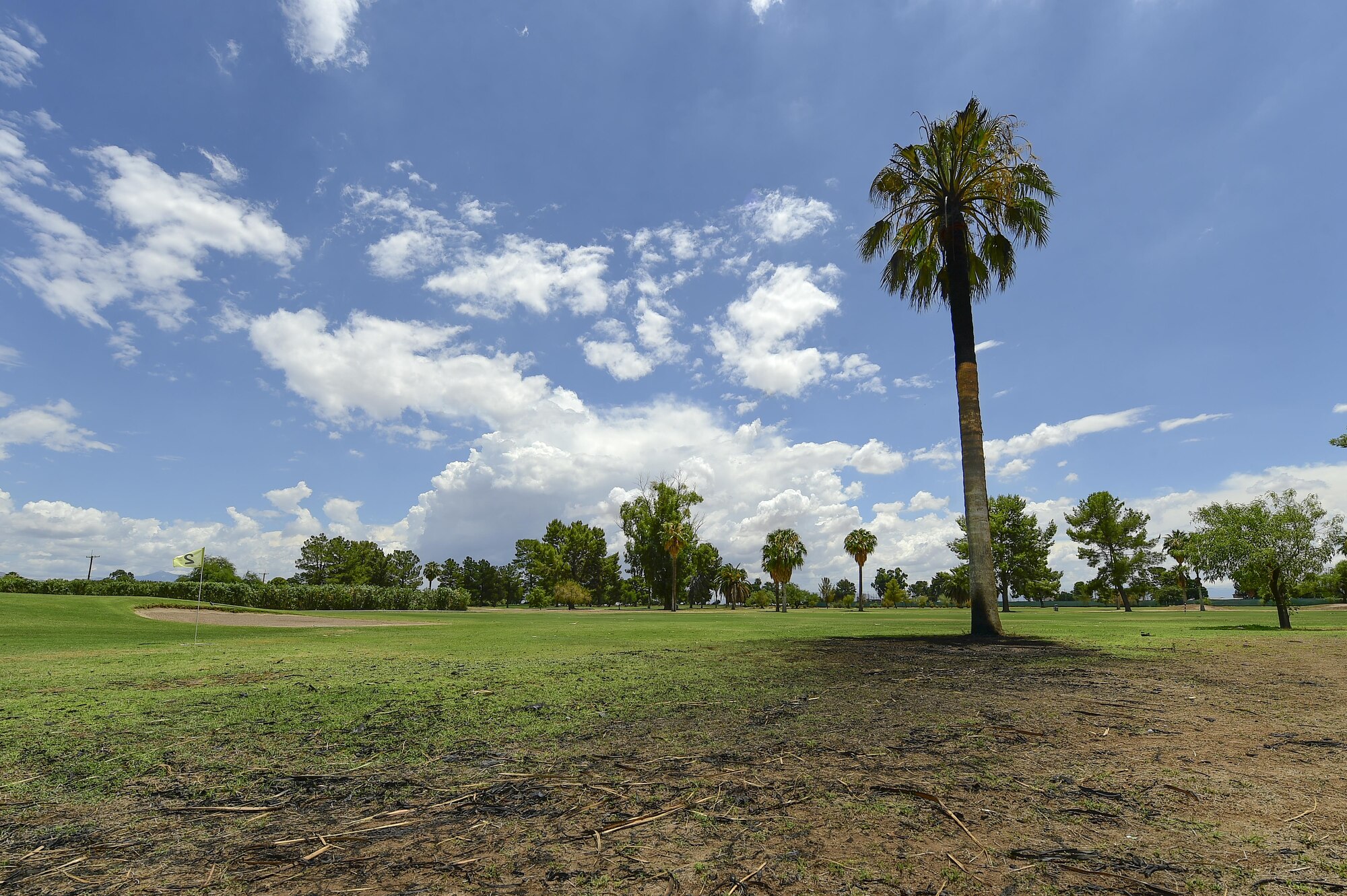 Scorch marks litter the earth around a palm tree after it was struck by lightning the night before at the General William Blanchard Golf Course at Davis-Monthan Air Force Base, Ariz., July 16, 2017. The lightning struck the tree adjacent to the green area on the golf course's first hole. (U.S. Air Force photo by Staff Sgt. Chris Drzazgowski)