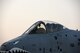 An A-10 Thunderbolt II taxis on the runway July 15, 2017, at Incirlik Air Base, Turkey. A-10s are specially designed for close air support of ground forces, and can also be used against ground targets including tanks and other armored vehicles. (U.S. Air Force photo by Airman 1st Class Kristan Campbell)