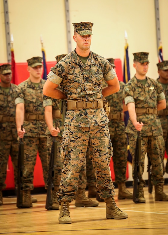 Troops stand in formation during a change of command ceremony aboard Marine Corps Air Station Beaufort, July 7. During the ceremony, Col. Peter D. Buck relinquished command of the Air Station to Col. Timothy P. Miller. Miller recently served at U.S. Pacific Command as the Warfighting Exercises Branch Chief. Buck, who assumed command on Feb. 13, 2014, is retiring from the Marine Corps after 30 years of dedicated service.
