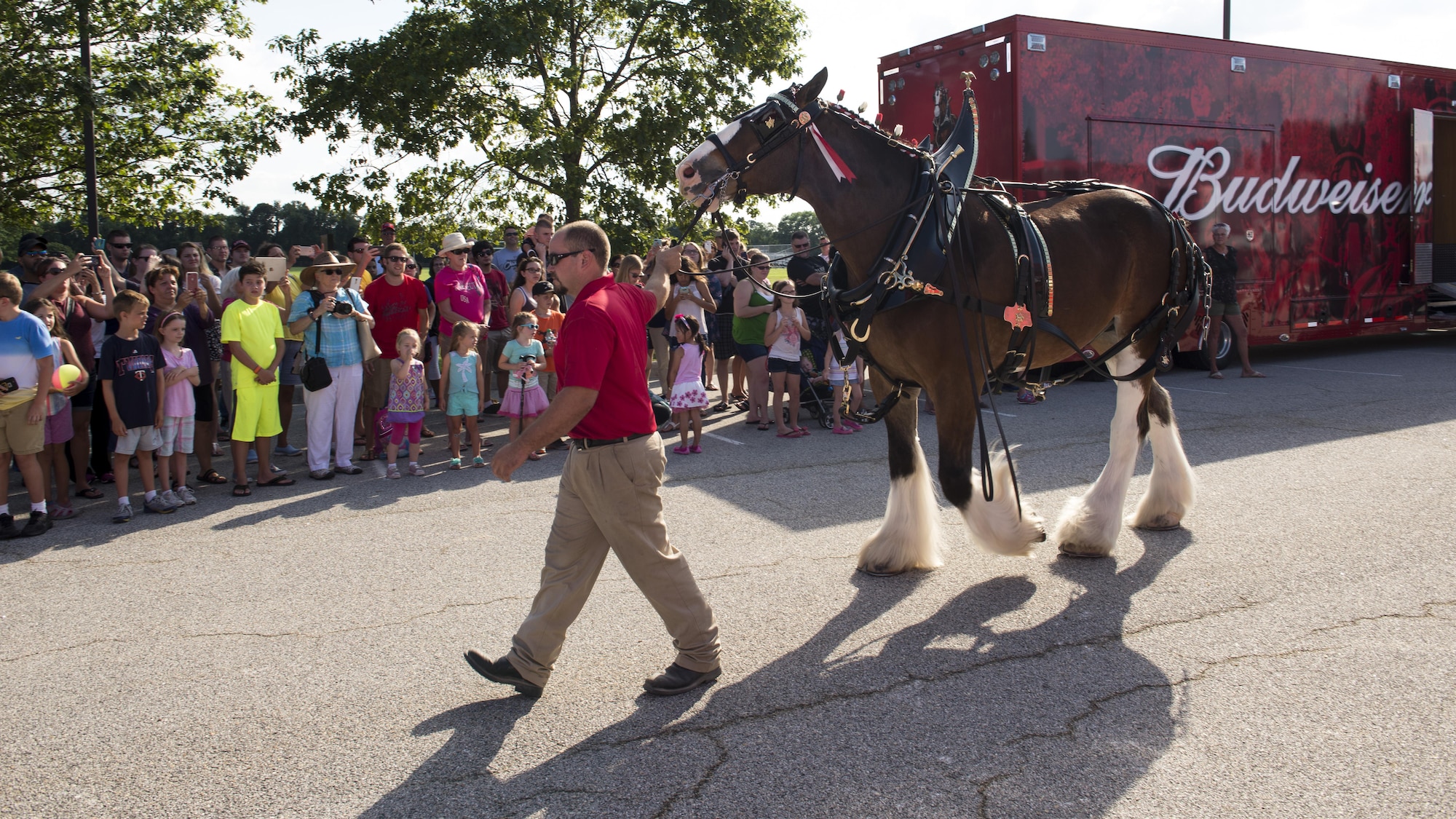 A Budweiser Clydesdale is guided to a wagon July 16, 2017, on Dover Air Force Base, Del. The team visited the base and paraded around base housing as a community outreach initiative . (U.S. Air Force photo by Senior Airman Zachary Cacicia)