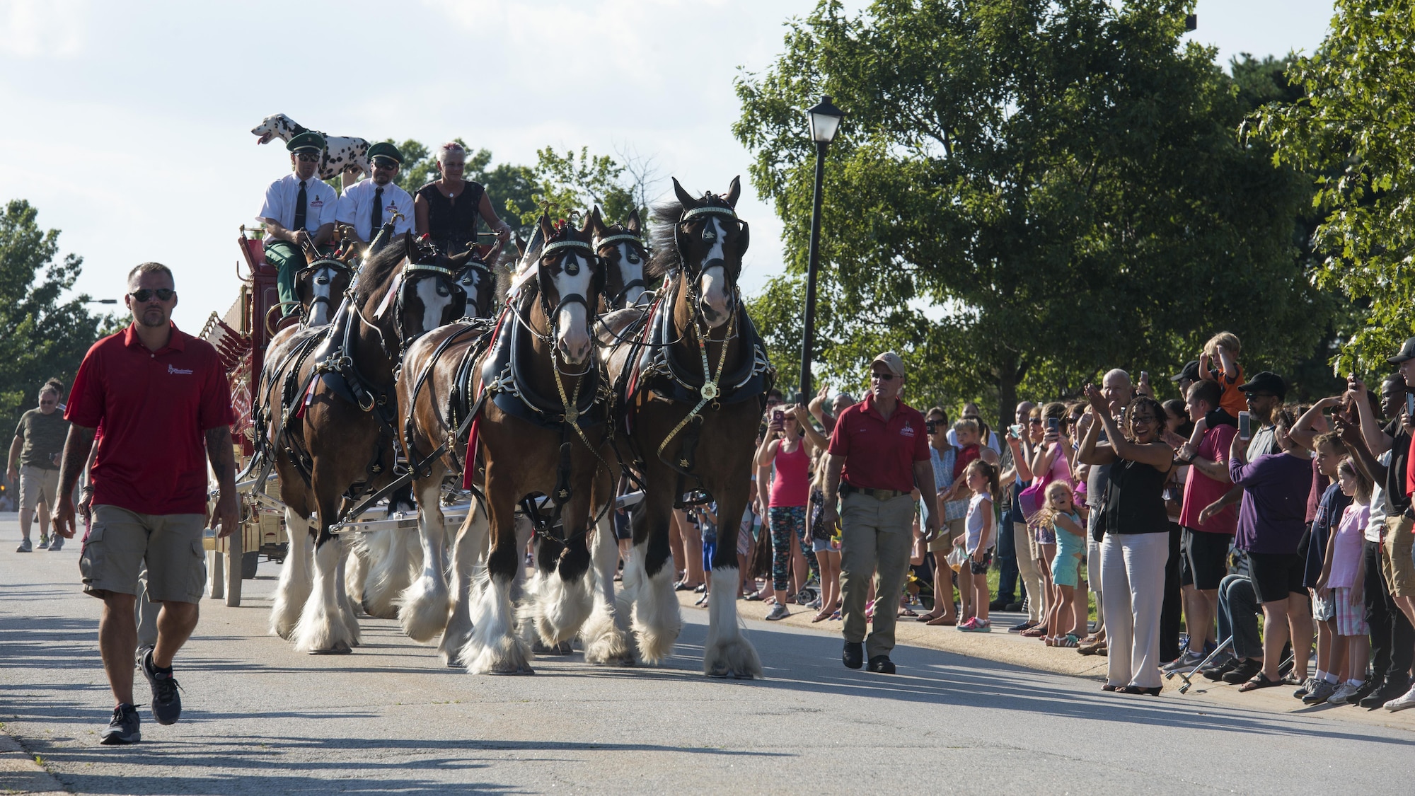 The Budweiser Clydesdales parade through base housing July 16, 2017, on Dover Air Force Base, Del. The team is comprised of eight horses, a wagon, two drivers and a Dalmatian. (U.S. Air Force photo by Senior Airman Zachary Cacicia)