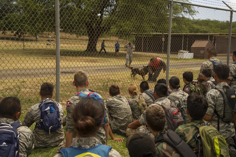 Cadets from the Civil Air Patrol watch a military working dog demonstration during their visit to the 15th Wing as part of their encampment, Joint Base Pearl Harbor-Hickam, Hawaii, July 14, 2017. Encampment is a week-long program, during which cadets are immersed into a modified Air Force basic training environment. Cadets learned the basics of military life with physically and mentally challenging activities. (U.S. Air Force photo by Tech. Sgt. Heather Redman)