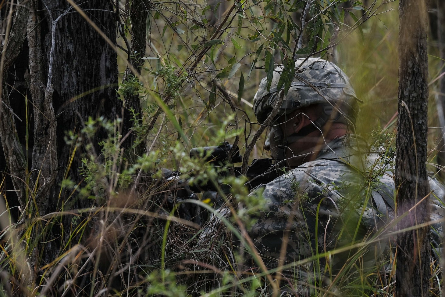 A paratrooper with 4th Infantry Brigade Combat Team (Airborne), 25th Infantry Division, pulls security in Shoalwater Bay, Queensland, Australia, July 13. In addition to watching for opposing forces, the Arctic Paratroopers needed to watch out for local snakes, spiders, kangaroos, mosquitos, crocodiles, airborne koala bears and ticks, all of which can be lethal. (U.S. Army photo by Staff Sgt. Daniel Love)