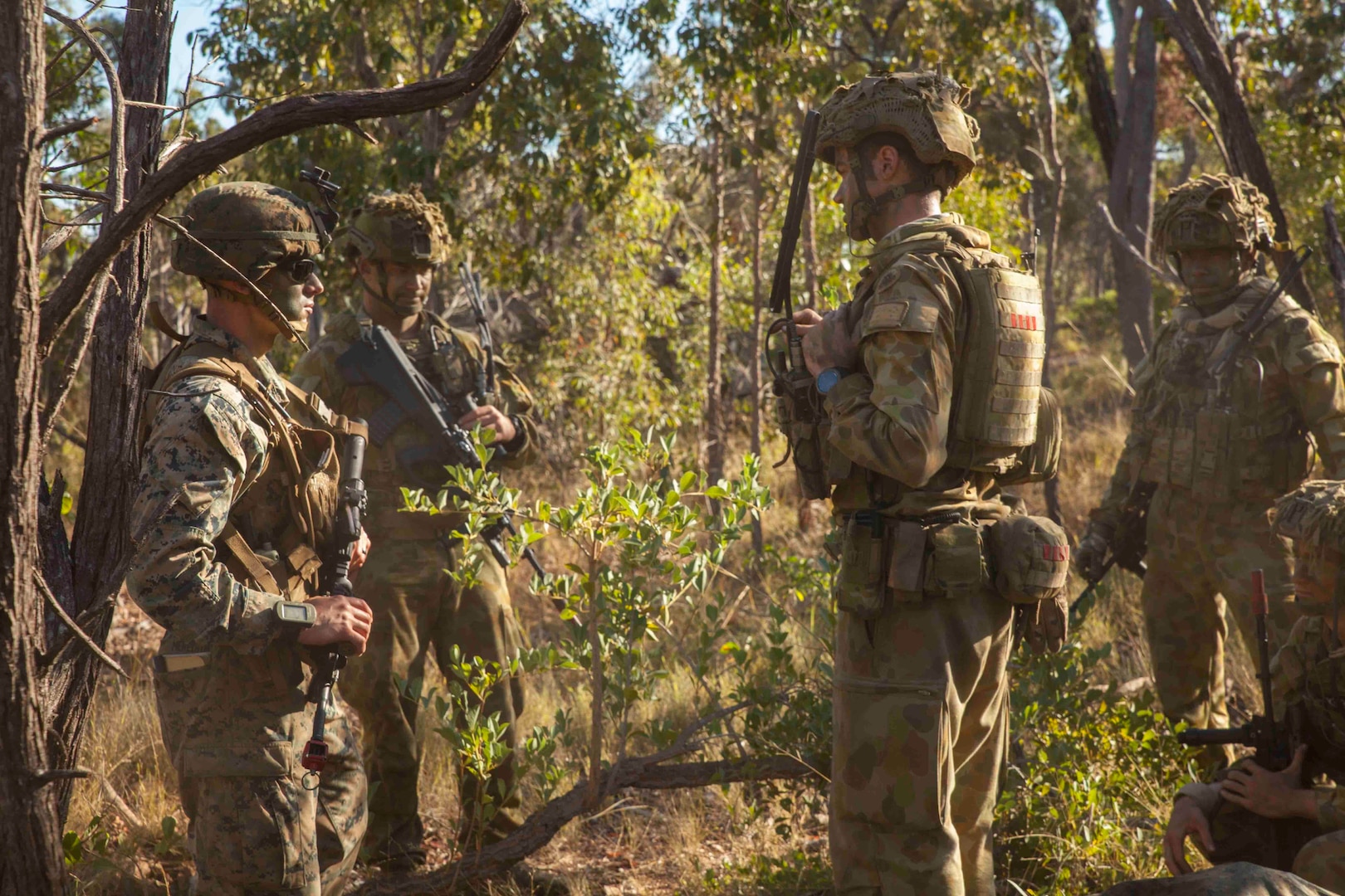 Marines with Lima Company, Battalion Landing Team, 3rd Battalion, 5th Marines, 31st Marine Expeditionary Unit, and Australian Army Soldiers discusses troop movements during an amphibious landing as part of Talisman Saber 17, July 15th, 2017. Talisman Saber is a biennial exercise designed to improve the interoperability between Australian and U.S. forces. The 31st MEU is taking part in Talisman Saber 17 while deployed on its regularly-scheduled patrol of the Indo-Asia-Pacific region. (U.S. Marine Corps photo by Lance Cpl. Jonah Baase/Released)
