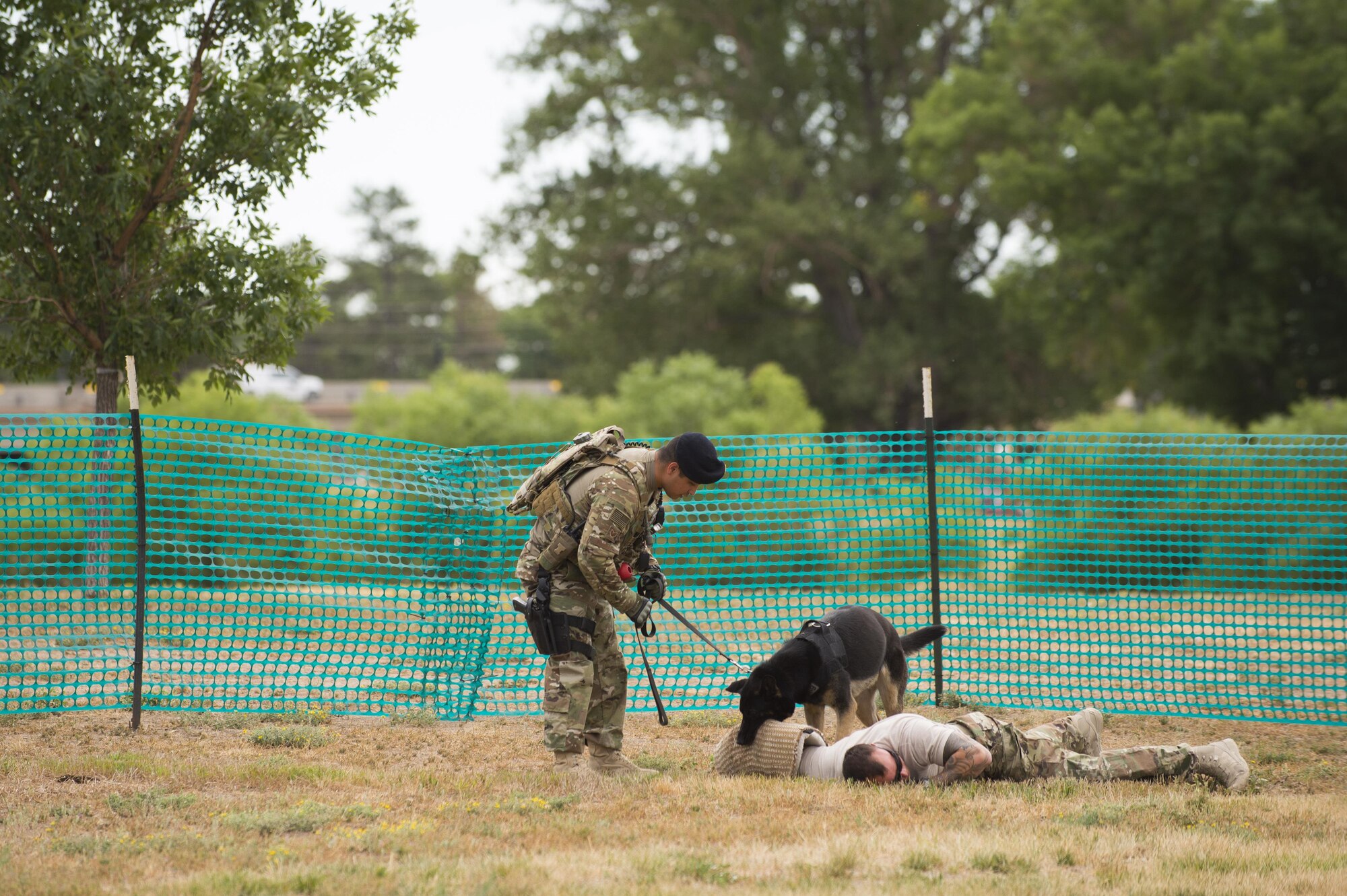 Eby, a military working dog, bites the protective sleeve of Senior Airman Richard Garcia, 90th Security Forces Squadron military working dog handler, during a MWD demonstration at Fort D.A. Russell Days on F.E. Warren Air Force Base, Wyo., July 21, 2017. Attack training prepares the MWD and the handler for real life situations that could happen on their patrol. This year marks the 150th anniversary of F.E. Warren Air Force Base, and the annual base open house brings military and civilian communities together to learn more about the base’s rich history. (U.S. Air Force photo by Staff Sgt. Christopher Ruano)