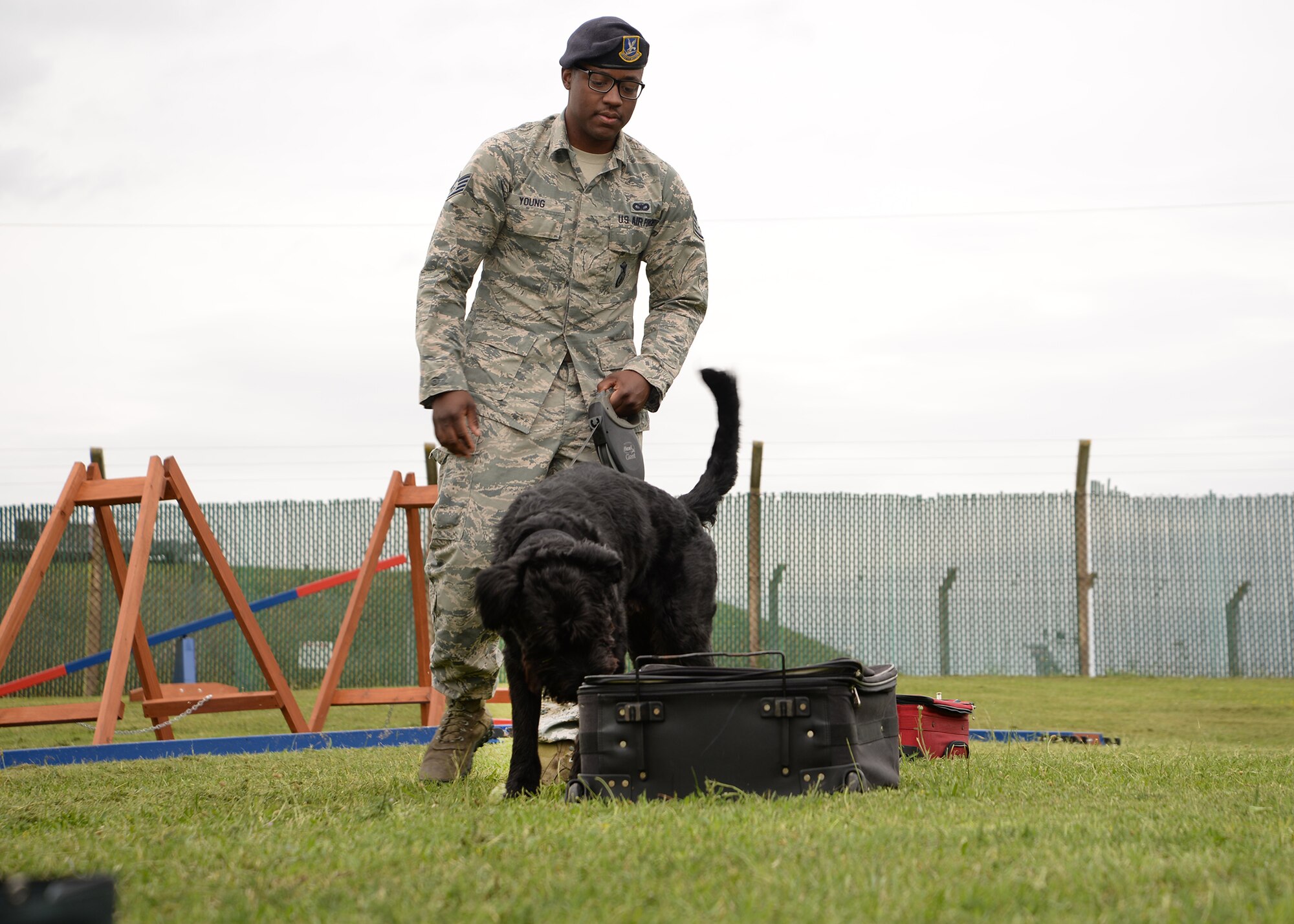 U.S. Air Force Staff Sgt. Dominick Young, 100th Security Forces Squadron Military Working Dog handler, and MWD Brock, a Giant Schnauzer, perform odor detection training July 11, 2017, on RAF Mildenhall, England. Brock is the only Giant Schnauzer military working dog in the Department of Defense. This breed of dog was used in World War II, then not again until the early 1980s. He is the first one to be brought into the DOD since that time. (U.S. Air Force photo by Karen Abeyasekere)