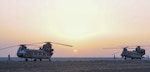 ERBIL, Iraq - CH-47 Chinook helicopters from the B Company, 2-149th General Support Aviation Battalion, Task Force Saber, undergo maintenance and inspections at Erbil, Iraq, July 10, 2017. The CH-47 Chinook provides a vital lift capability to Task Force Saber which increases the capability and mobility of Combined Joint Task Force – Operation Inherent Resolve. CJTF-OIR is the Coalition to defeat ISIS in Iraq and Syria. (U.S. Army photo by Capt. Stephen James)