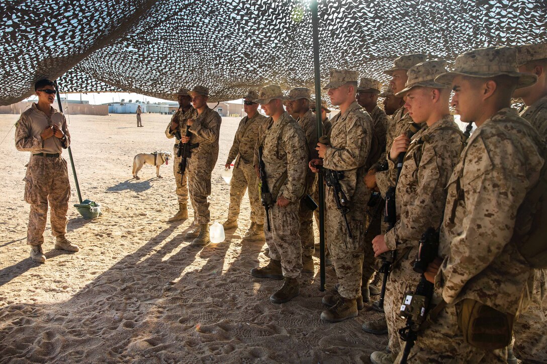 Marine Corps Cpl. Dakota Harris, left, gives a briefing on the various capabilities of military working dogs as part of a demonstration during Integrated Training Exercise 5-17 at Camp Wilson, Twentynine Palms, Calif., July 16, 2017. Harris is a military police dog handler assigned to Marine Air-Ground Task Force 8. Marine Corps photo by Cpl. Christopher A. Mendoza