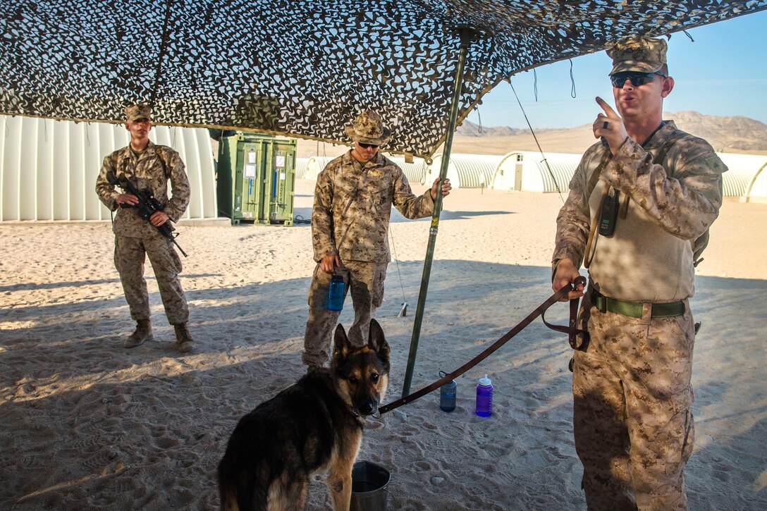 Marine Corps Lance Cpl. Nathan Simpson, right, describes various capabilities of military working dogs as part of a demonstration during Integrated Training Exercise 5-17 at Camp Wilson, Twentynine Palms, Calif., July 16, 2017. Simpson is a military police dog handler assigned to Marine Air-Ground Task Force 8. Marine Corps photo by Cpl. Christopher A. Mendoza