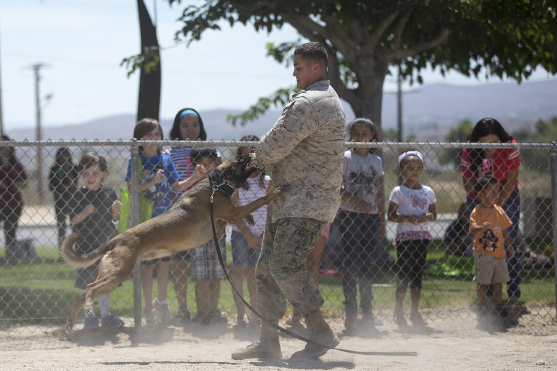 Lance Cpl. Julian Norris, MWD handler, PMO, acts as a simulated perpetrator for Nnariko, MWD, PMO, during a demonstration at the Twentynine Palms Public Library, July 13, 2017. MWD handlers held the presentation during the reading program to not only show what their MWD’s are capable of, but to foster a positive relationship with the community. (Official Marine Corps photo by Pfc. Margaret Gale)