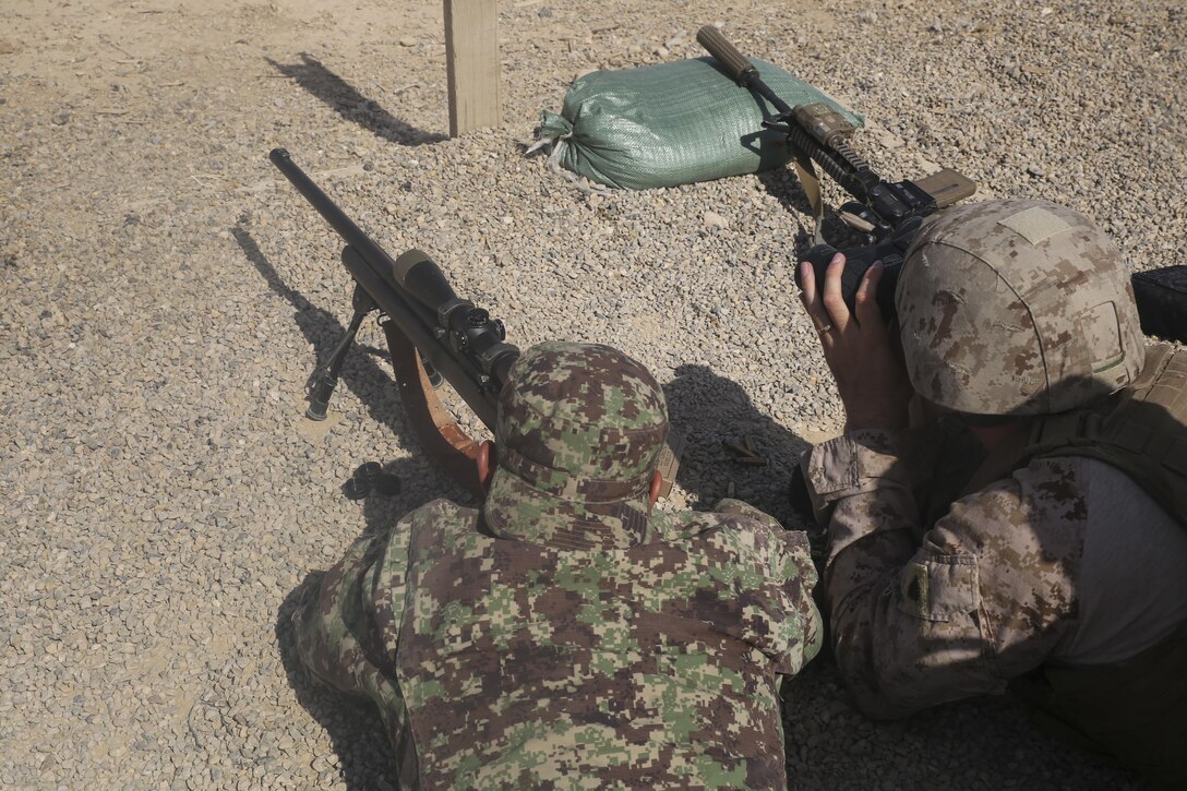 An Afghan National Army soldier with 2nd Kandak, 4th Brigade, 215th Corps fires an M24 sniper rifle as a U.S. Marine with Task Force Southwest observes for impacts at Camp Shorabak, Afghanistan, June 19, 2017. Approximately 15 Marine advisors assisted their Afghan counterparts throughout an operational readiness cycle, an eight-week training program teaching soldiers infantry skills and weapons techniques in order to thwart enemy presence in Helmand Province. (U.S. Marine Corps photo by Sgt. Lucas Hopkins)