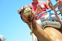 Team Schriever members had the opportunity to ride camels, elephants and ponies at the Summer Slam base picnic at Schriever Air Force Base, Colorado, Friday, July 21, 2017. Other activities at the picnic included face painting, inflatable obstacle courses and much more. (U.S Air Force photo/ Halle Thornton)
