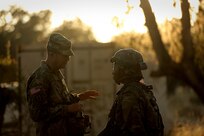 Maj. Gen. Todd McCaffrey, left, commanding general of First Army Division East, meets with Army Reserve Capt. Ciera Jackson, commander of the 208th Transportation (Palletized Loading System) Company, based in Marana, Arizona, during Combat Support Training Exercise 91-17-03, July 18, 2017, Fort Hunter Liggett, Calif. The 208th Transportation Company is an Army Early Response Force unit that must be ready to deploy with very short notice. Approximately 5,000 Army Reserve and National Guard forces participated in the exercise. First Army provided about 65 observer coach/trainers to augment their Army Reserve partners at the 91st Training Division and assist in training the most capable, combat-ready and lethal federal reserve force in the history of the nation. 
(U.S. Army photo by Master Sgt. Anthony L. Taylor)