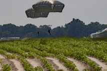 Members of the 823d Base Defense Squadron float toward the ground, July 21, 2017, at the Lee Fulp Drop Zone in Tifton, Ga. This training was in preparation for an upcoming mission readiness exercise where airmen serve as an airborne advanced team, with the mission to create an initial presence and clear a path for follow-on forces to arrive on scene. (U.S. Air Force photo by Airman 1st Class Daniel Snider)