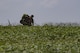 Members of the 823d Base Defense Squadron travel towards their rally point, July 21, 2017, at the Lee Fulp Drop Zone in Tifton, Ga. This training was in preparation for an upcoming mission readiness exercise where airmen serve as an airborne advanced team, with the mission to create an initial presence and clear a path for follow-on forces to arrive on scene. (U.S. Air Force photo by Airman 1st Class Daniel Snider)