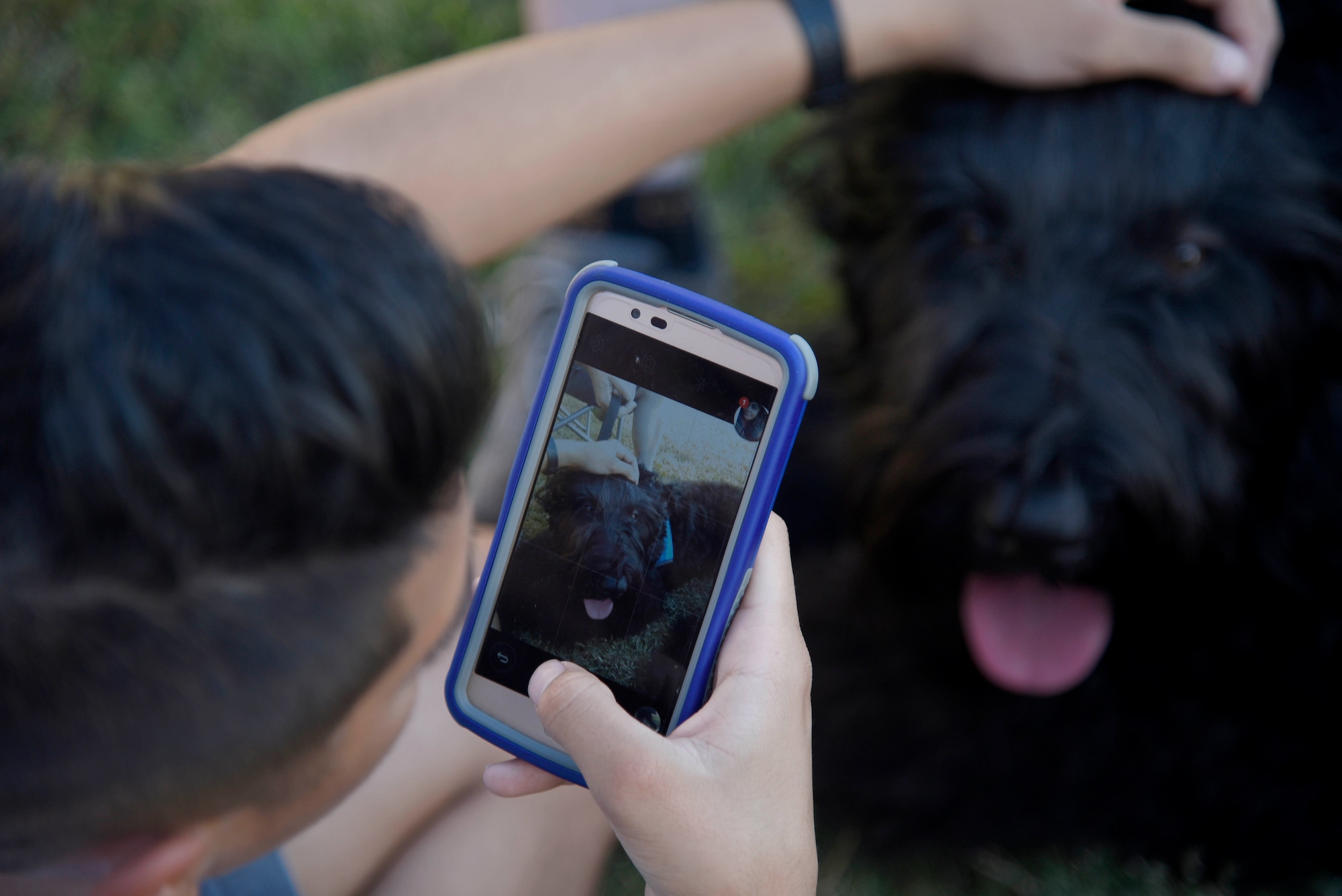 Airman Brandon Mena, 22nd Maintenance Squadron aerospace propulsion technician, takes a photo of a therapy dog July 25, 2017, at McConnell Air Force Base, Kan. Animals can provide people with feelings of relaxation and happiness, and therapy dogs visit places where people may need that comfort. (U.S. Air Force photo/Airman 1st Class Erin McClellan)