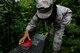 Airman 1st Class Arielle Howze, 786th Civil Engineer Squadron pest management journeyman, prepares a trap for stray cats on Vogelweh Military Complex, Germany, July 28, 2017. Once caught, pest management technicians determine if the cats are chipped, and are either returned to owners or taken to a shelter in Pirmasens if they don’t possess a chip or are feral. (U.S. Air Force Airman 1st Class Savannah L. Waters)