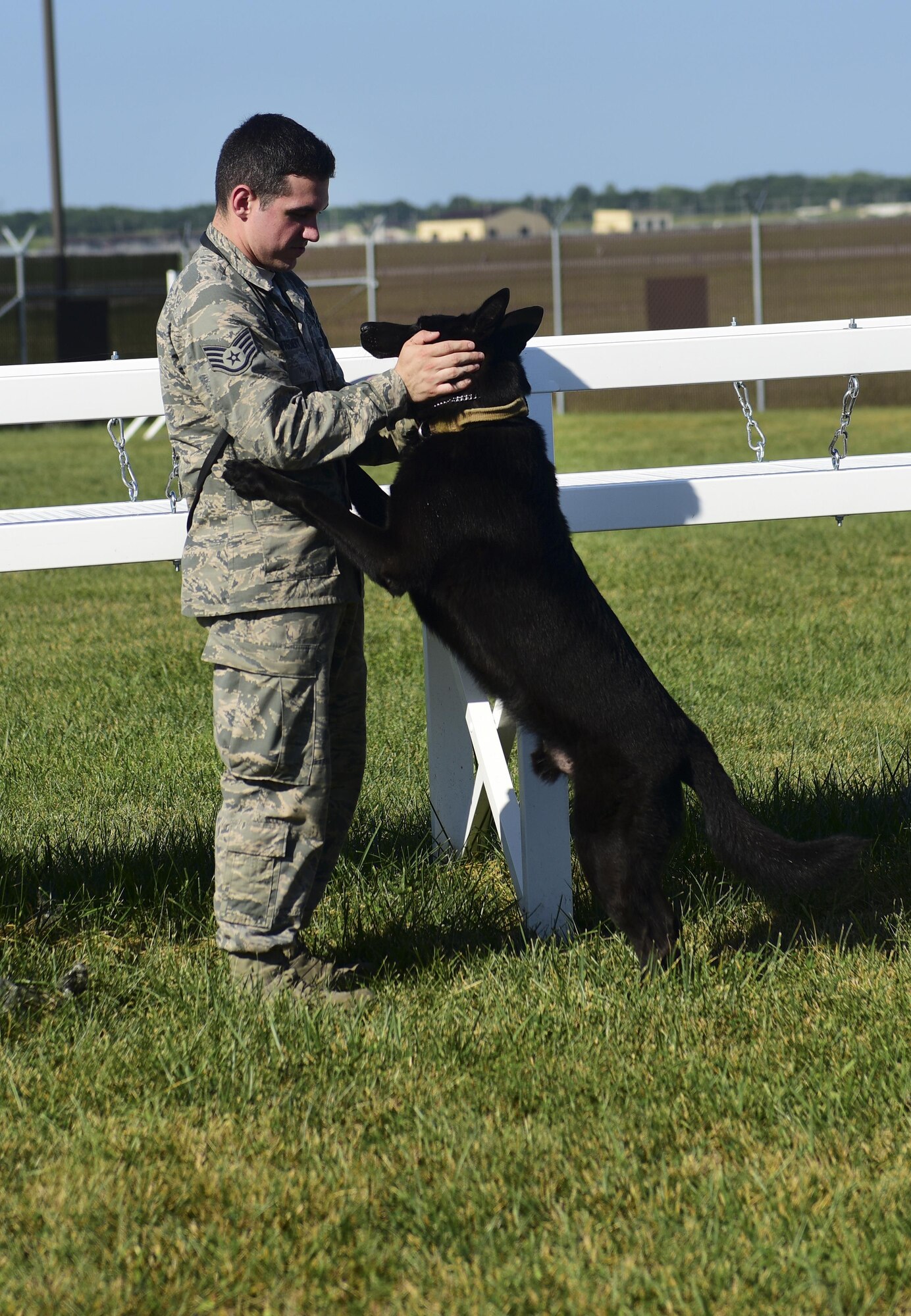 U.S. Air Force Staff Sgt. Joshua Montgomery, a 509th Security Forces Squadron Military Working Dog (MWD) handler, and his side-kick MWD Gipsy recently returned from a U.S. Secret Service support mission involving the vice president. MWDs possess a superior sense of hearing, visual motion detection and a crushing jaw strength of 238 pounds of pressure, making them a special asset to the U.S. Armed Forces.