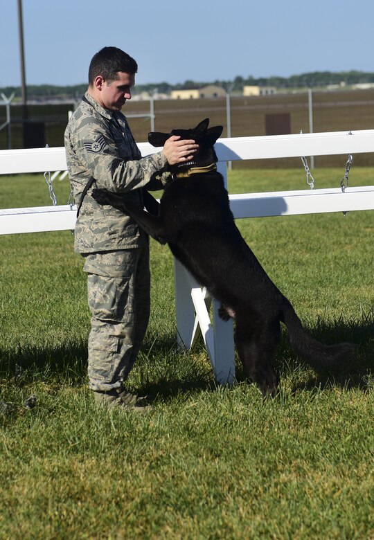 U.S. Air Force Staff Sgt. Joshua Montgomery, a 509th Security Forces Squadron Military Working Dog (MWD) handler, and his side-kick MWD Gipsy recently returned from a U.S. Secret Service support mission involving the vice president. MWDs possess a superior sense of hearing, visual motion detection and a crushing jaw strength of 238 pounds of pressure, making them a special asset to the U.S. Armed Forces.