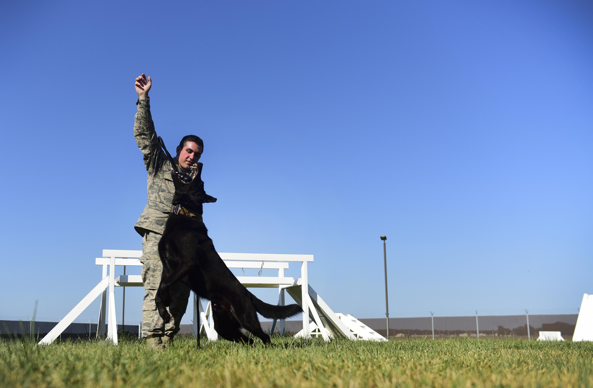 U.S. Air Force Staff Sgt. Joshua Montgomery, a 509th Security Forces Squadron Military Working Dog (MWD) handler, and his side-kick MWD Gipsy recently returned from a U.S. Secret Service support mission involving the vice president. MWDs possess a superior sense of hearing, visual motion detection and a crushing jaw strength of 238 pounds of pressure, making them a special asset to the U.S. Armed Forces.