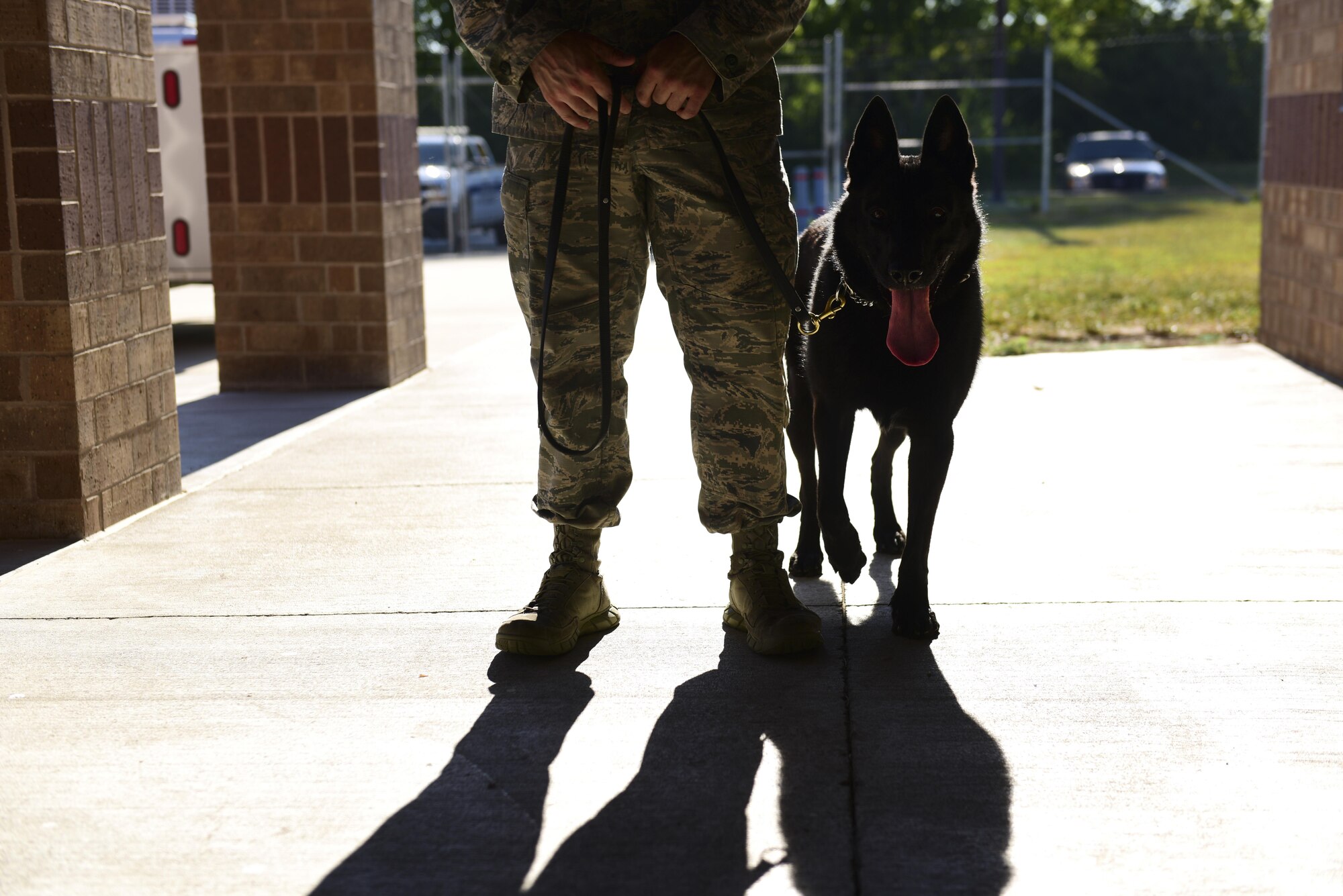 U.S. Air Force Staff Sgt. Joshua Montgomery, a 509th Security Forces Squadron Military Working Dog (MWD) handler, and his side-kick MWD Gipsy recently returned from a U.S. Secret Service support mission involving the vice president. MWDs possess a superior sense of hearing, visual motion detection and a crushing jaw strength of 238 pounds of pressure, making them a special asset to the U.S. Armed Forces.