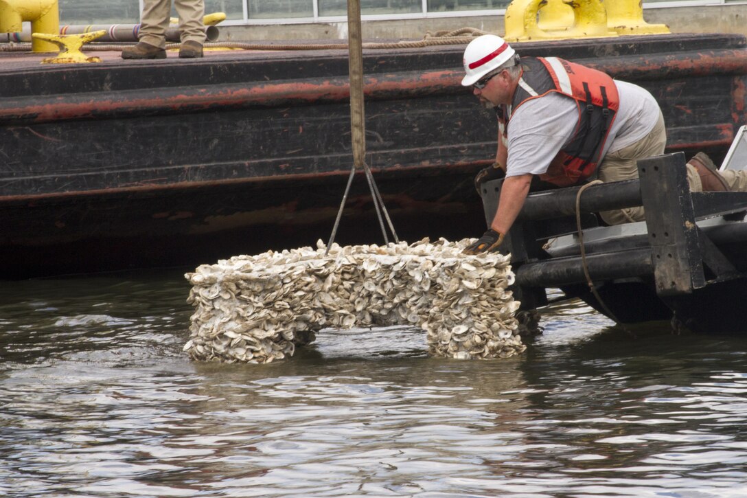 NORFOLK, Va. -- Erik Sherer, a deckhand with the Norfolk District, helps guide an oyster cross into place at the district's headquarters near downtown Norfolk, on July 26, 2017. Three crosses were placed in the Elizabeth River and will serve as new habitat for oysters. (U.S. Army photo/Patrick Bloodgood)  