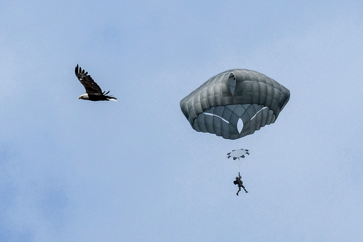 A bald eagle soars as a soldier parachutes from a helicopter,