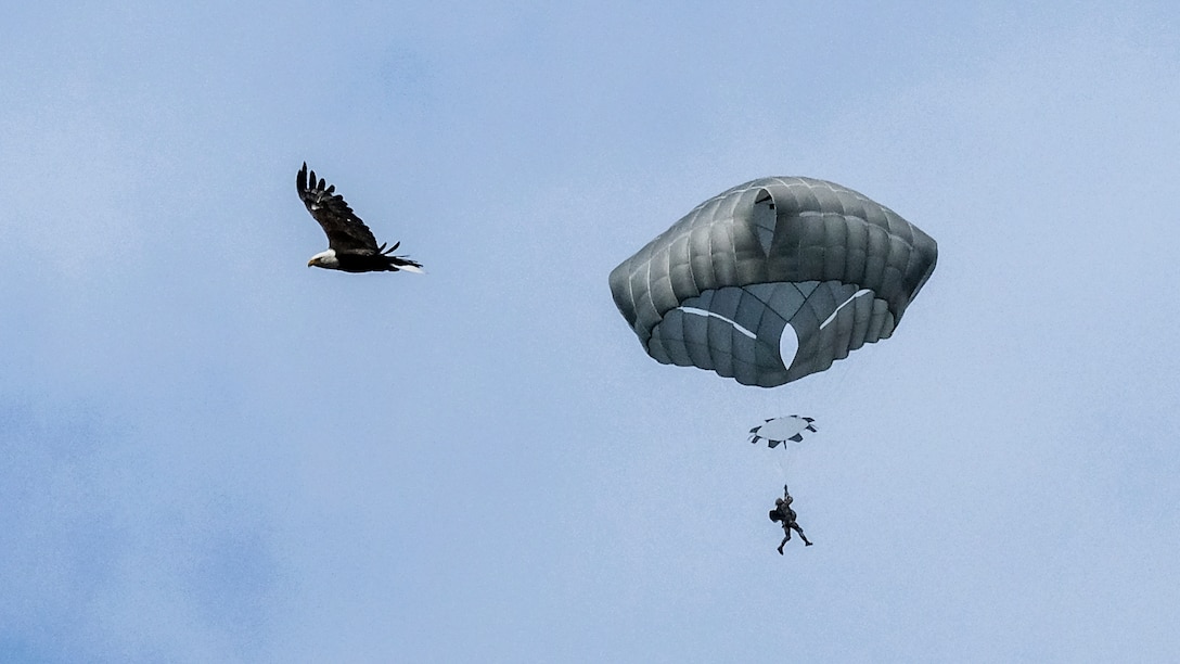 A bald eagle soars as a soldier parachutes from a UH-60 Black Hawk helicopter over Joint Base Elmendorf-Richardson, Alaska, July 27, 2017. The soldier is a paratrooper assigned to the 25th Infantry Division's 4th Infantry Brigade Combat Team (Airborne). Army photo by Staff Sgt. Daniel Love