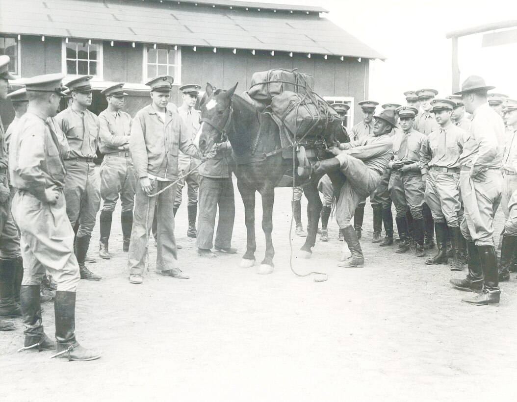Pack horse loading demonstration, circa 1936. Official USMC photograph from the George J. Nowack Collection (COLL/4420) at the Marine Corps Archives and Special Collections.
