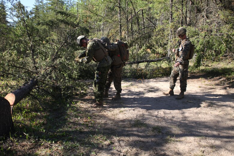 COLD LAKE, AB, CANADA – Sgt. Marco Ramos and Sgt. Michael Nadon, combat engineers with Engineer Company, Detachment Bravo, Marine Wing Support Squadron 473, 4th Marine Aircraft Wing, Marine Forces Reserve, place a field expedient Bangalore torpedo to clear an abatis created by Canadian Armed Forces members, May 28, 2017 as part of exercise Maple Flag 50. Maple Flag is an annual, international military training event that maintains the alliance with Canadian and multinational air and ground forces.